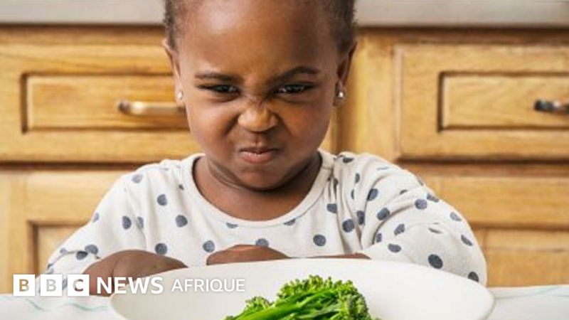 Alimentation : 5 conseils pour aider votre enfant à « manger de tout » - BBC News Afrique