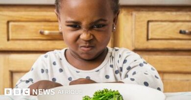 Alimentation : 5 conseils pour aider votre enfant à « manger de tout » - BBC News Afrique