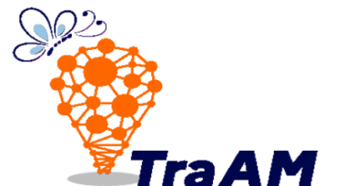 Bilan national des TraAM 2024-2025