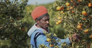 Accents d'Europe - En Espagne, la mise en concurrence des migrants saisonniers dans l'agriculture