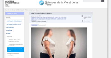 Image / vignette