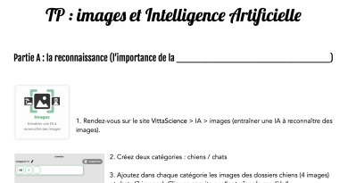 Image / vignette