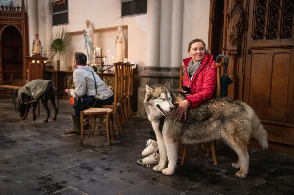 « Il faut ouvrir nos édifices religieux aux animaux de compagnie »