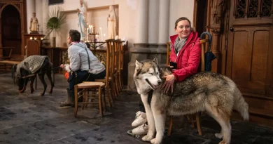 « Il faut ouvrir nos édifices religieux aux animaux de compagnie »