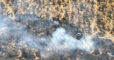 Namibie: l'incendie qui a ravagé le parc Etosha, en partie maitrisé, mais les dégâts sont importants