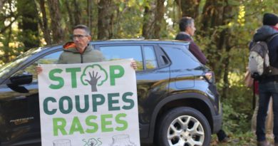 illustration agrandir l