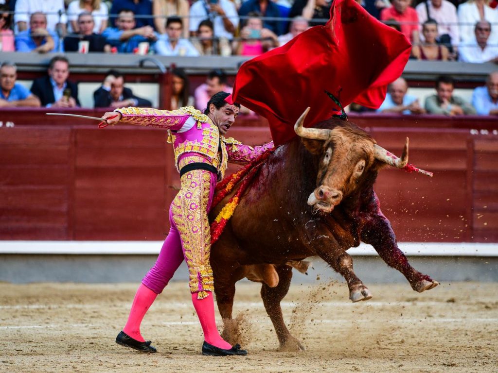Toros. Naufrage de l’élevage Domingo Hernández à Las Ventas
