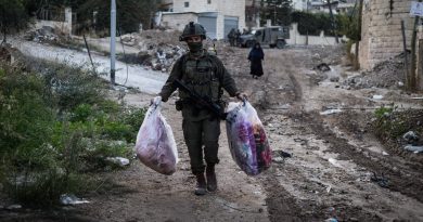 Israël : "meurtre odieux", "exécution sommaire", "crime de guerre"… que se passe-t-il en Cisjordanie et en Syrie ?