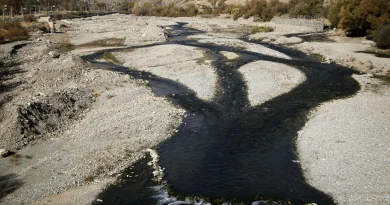 « Il est presque impossible de remplir un verre d’eau à Téhéran » : en Iran, la capitale à court d’eau