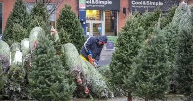 Les vendeurs de sapins de Noël enregistrent une forte demande cette année