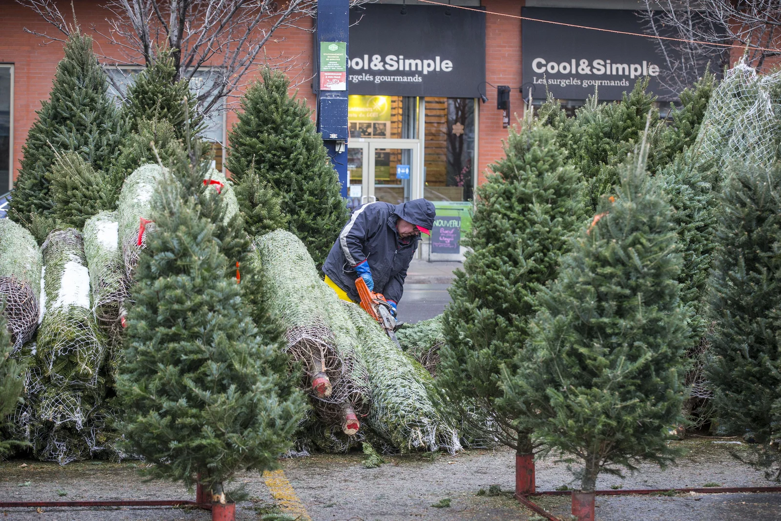 Les vendeurs de sapins de Noël enregistrent une forte demande cette année