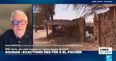 Exécutions sommaires, tortures, viols : quelles exactions des FSR à El-Fasher au Soudan ?