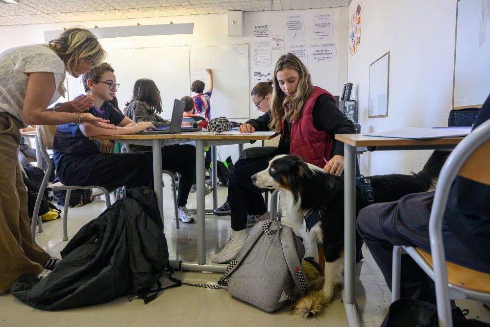 Un chien "bien-être" dans les classes du collège Lakanal à Aubagne
