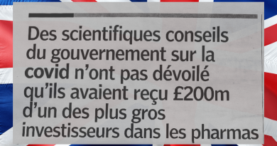 Manque de transparence dans la gestion de la crise Covid : le scandale des subventions britanniques et le parallèle français | FranceSoir